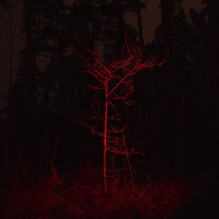 Pretplūsma - Gauja